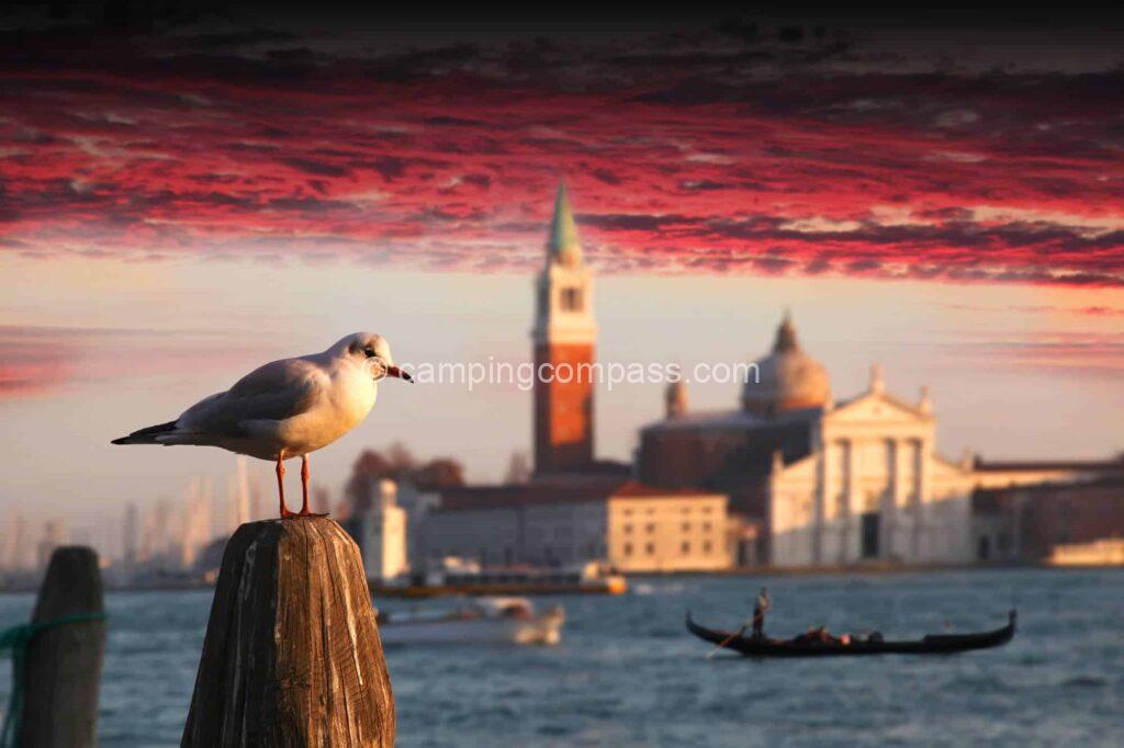 Breathtaking views from motorhome area San Giuliano Park in Venice
