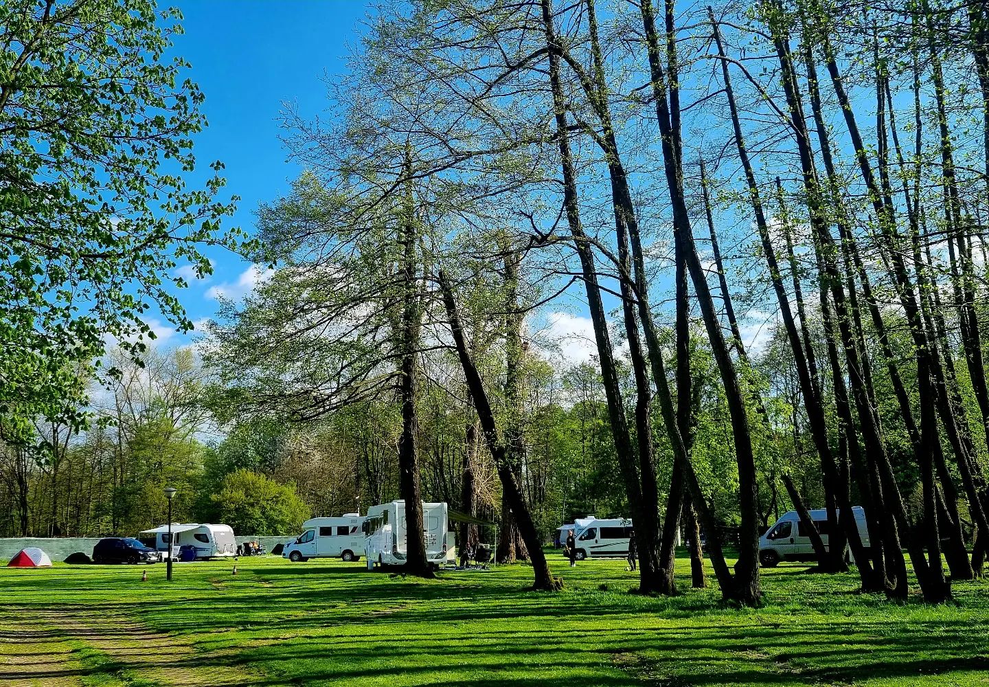 Camping Clepardia in Krakow
