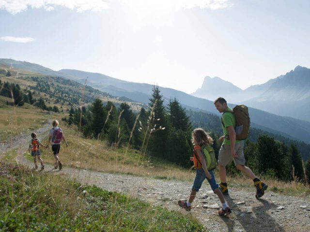Hiking routes close to camping Lowenhof
