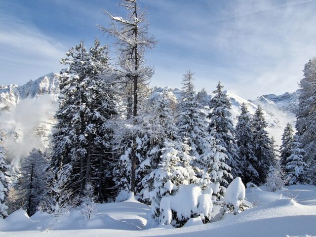 Camping Val di Sole: ski and winter guide 2024